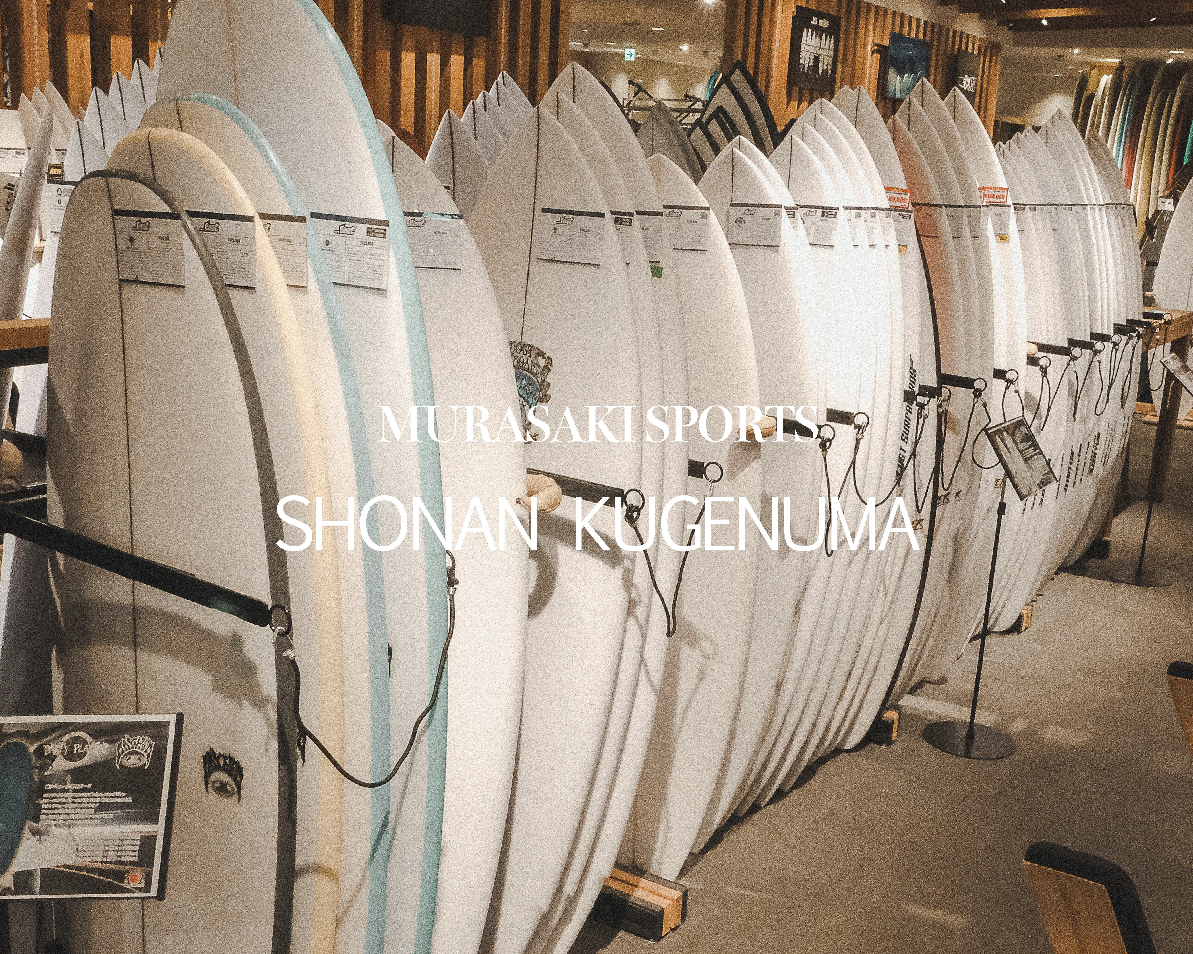 【数量限定/店舗移転セール/送料無料】湘南　鵠沼海岸発　ウエットスーツ　TRADsuits ロングスリーブスプリング　レディース　ML　検@SW@ 湘南鵠沼店のコーディネート詳細 | ムラサキスポーツオンライン