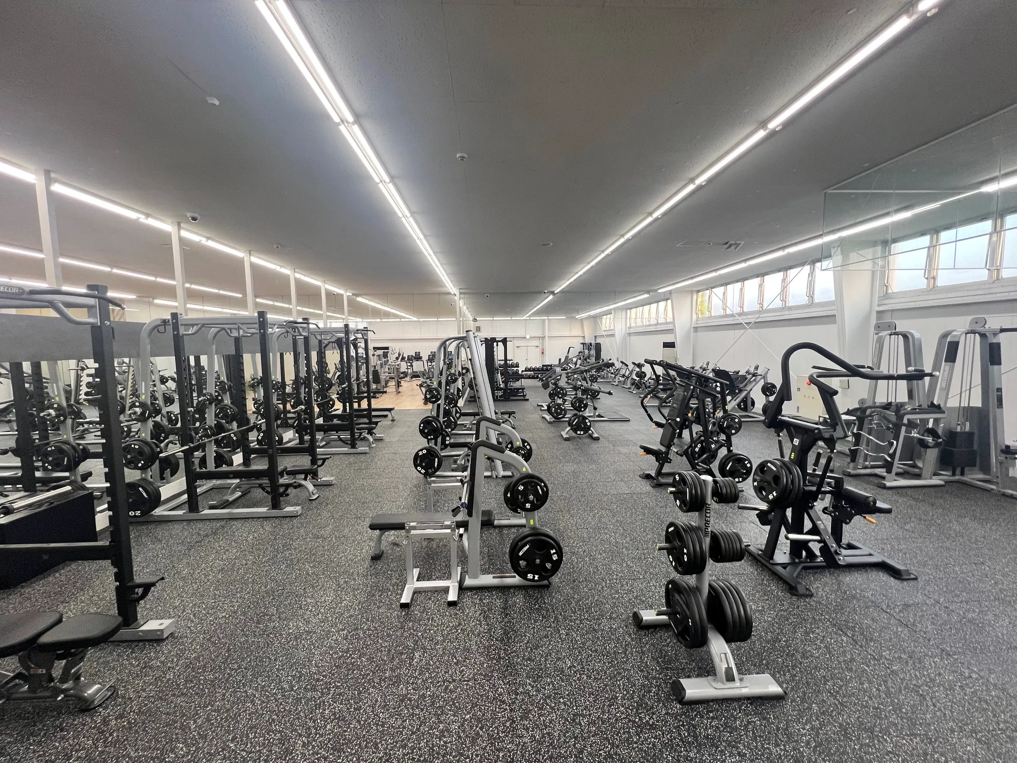 フリーウェイトエリア