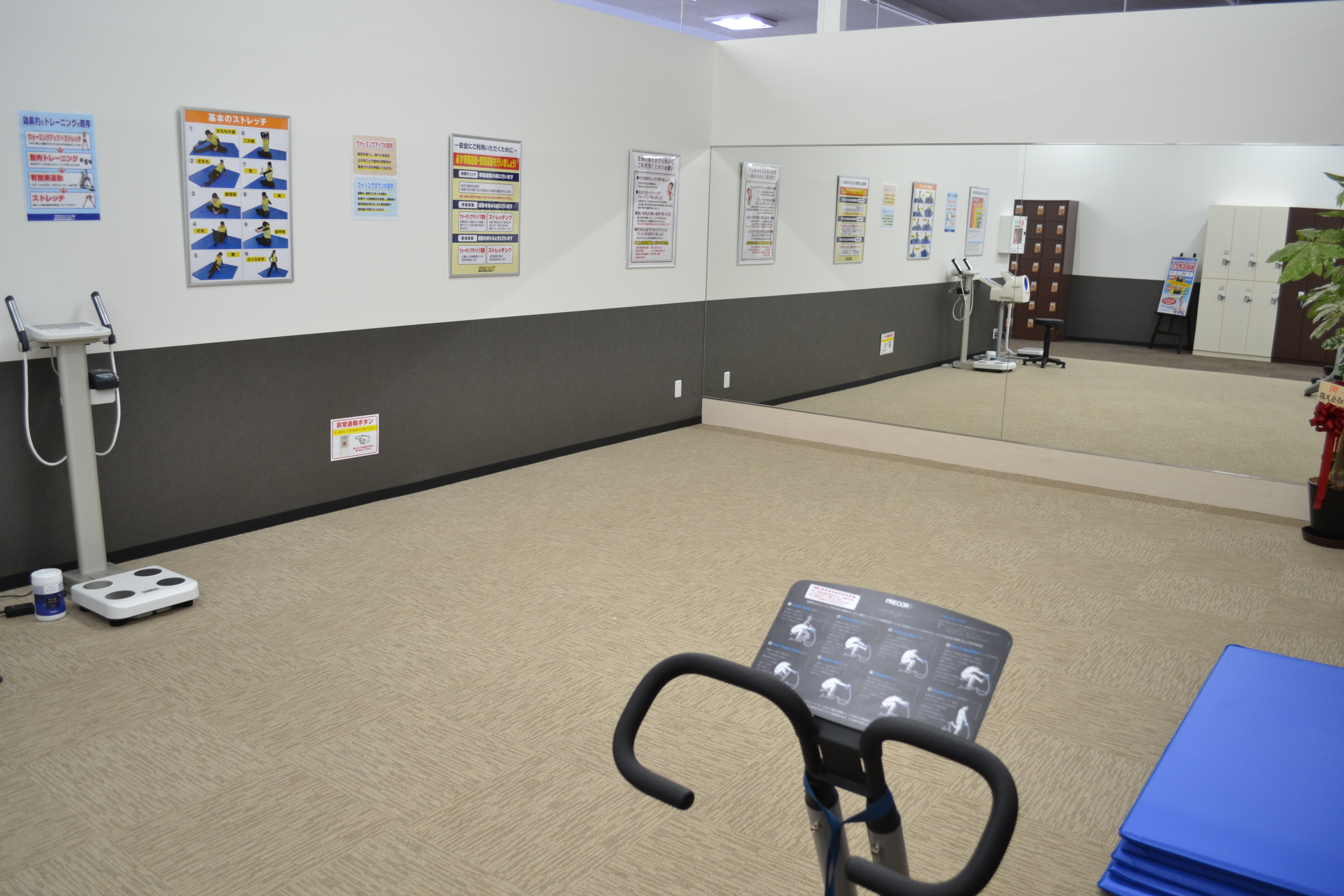 ストレッチエリア