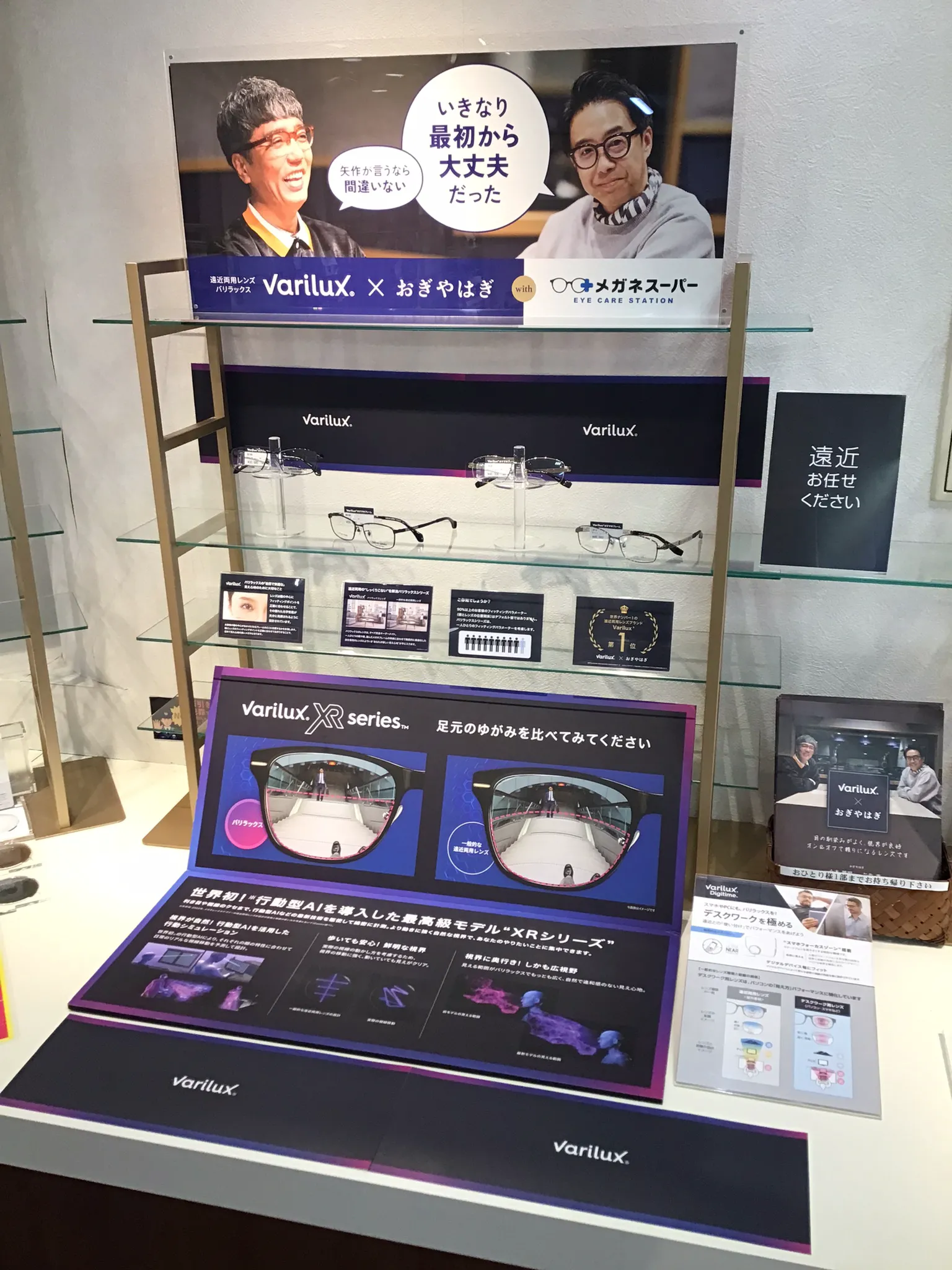 アオメガネトリバネアゲハ♂標本★ブーゲンビル島産★114mm PNG入手困難 EYEVAN BYRON PBK ピアノブラック 47(PBK ピアノブラック 47): メガネ