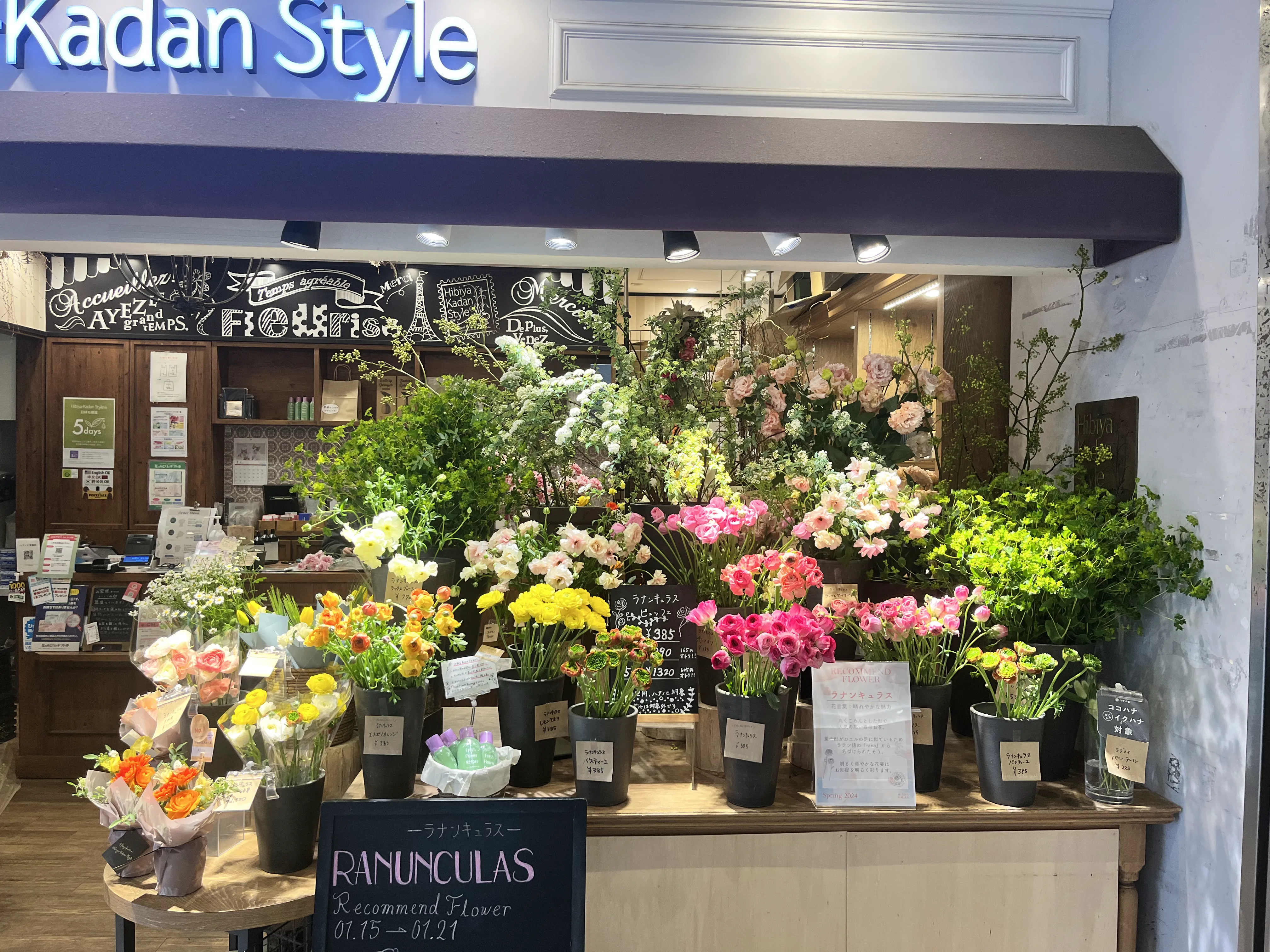 ハナノヒ会員様限定】一部店舗にてお花のケアグッズが10％オフ