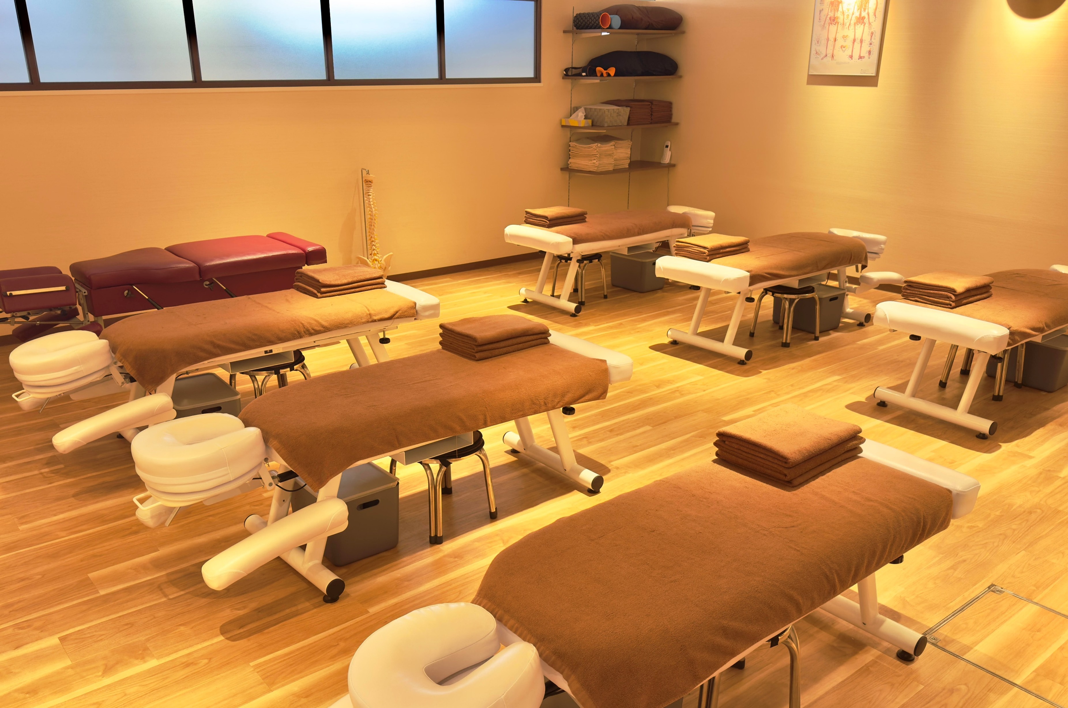 公式】カラダファクトリー シャポー小岩店｜江戸川区（東京都）｜整体