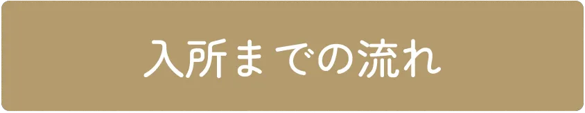 入所までの流れ