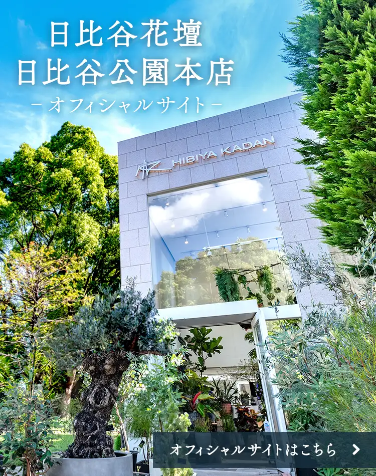 日比谷花壇】店舗検索｜フラワーギフト通販